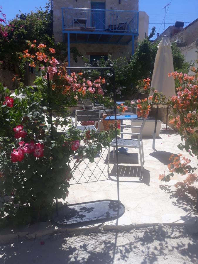 Kritikies Elaia Guest House Pitsidia Bagian luar foto
